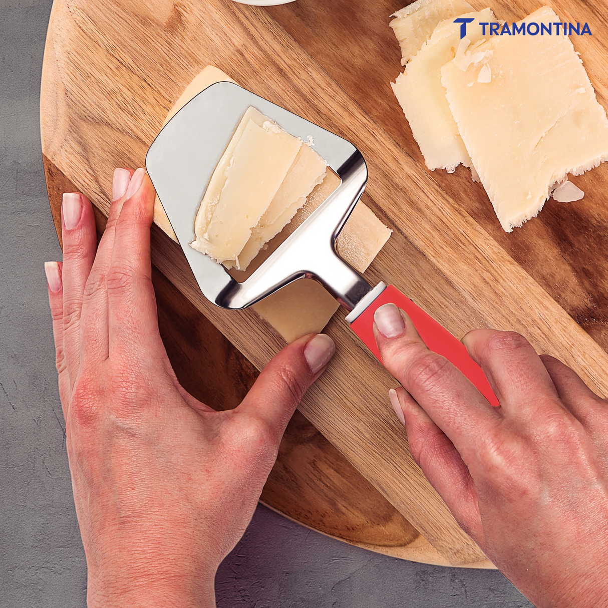 Utilitá Stainless Steel Cheese Slicer with Red Polypropylene Handle