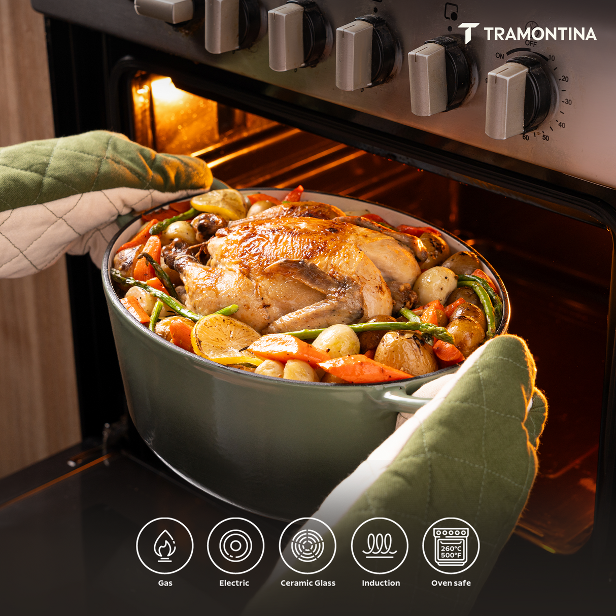 Tramontina India Bestow enameled cast iron round Dutch oven in cactus green, 3.3L casserole for cooking and baking.