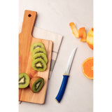 Felice steak knife set with stainless steel blades, smooth edge and blue polypropylene handles, 2 pieces