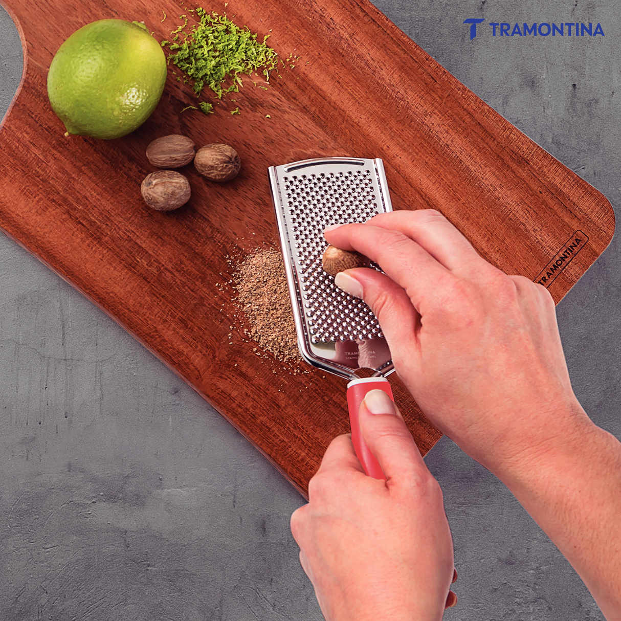 Utilitá Stainless Steel Mini Grater with Red Polypropylene Handle