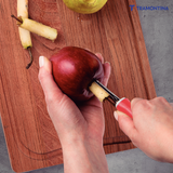 Utilitá Stainless Steel Pulp Extractor with Red Polypropylene Handle