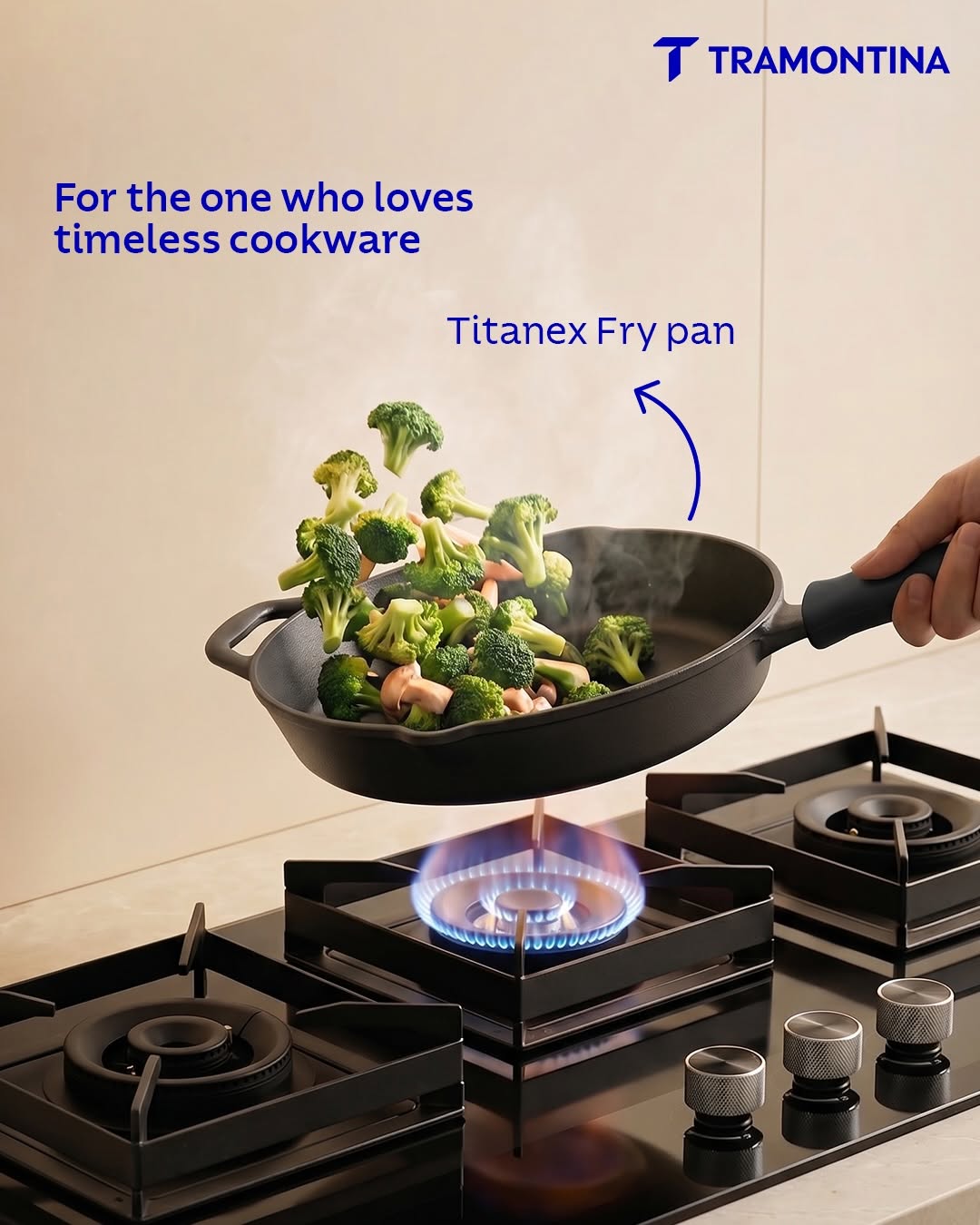 Titanex Pre-Seasoned Cast Iron Combo Set - 20cm Fry Pan + 24cm Dosa Tawa (With Silicone Grip)