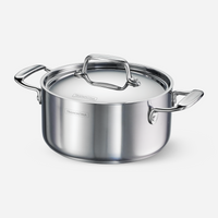 Fusao EX+ 20cm Ceramic Stainless Steel Tri-Ply Curry Pot with SS Lid - 3.1L
