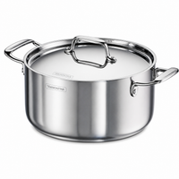 Fusao EX+ 24cm Ceramic Stainless Steel Tri-Ply Biryani Pot with SS Lid - 4.8L
