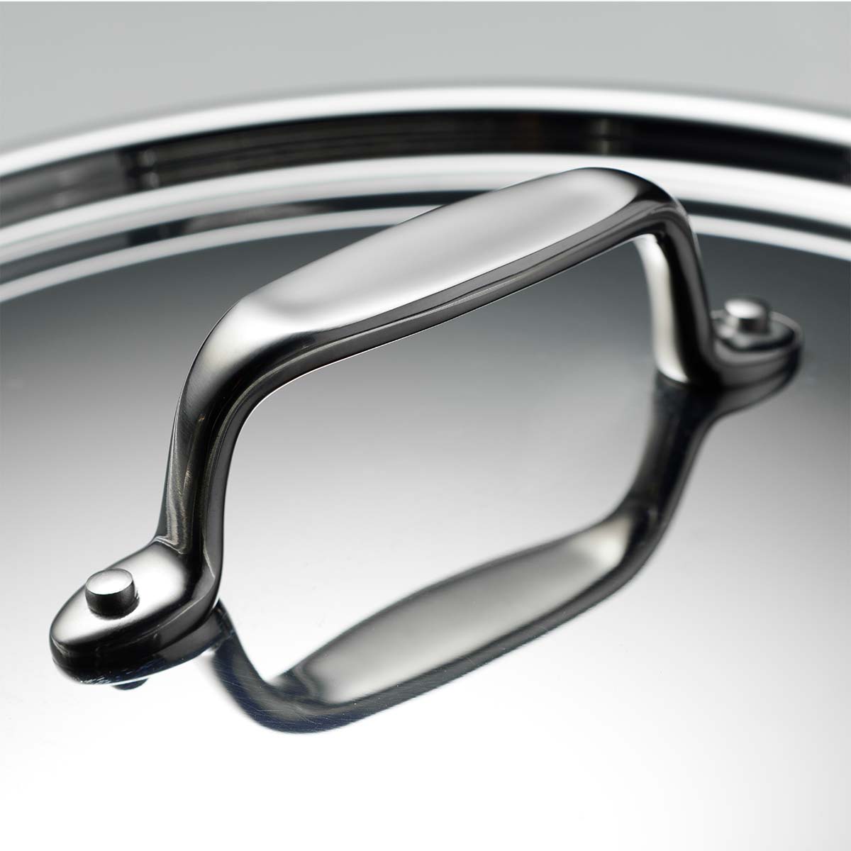 Fusao EX+ 30cm Ceramic Stainless Steel Tri-Ply Biryani Lagan with SS Lid - 6.2L - Tramontina India